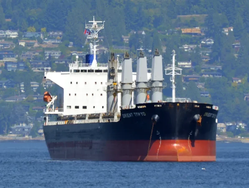 SCHELDE CONFIDENCE Bulk Carrier IMO 9589762 photo 6