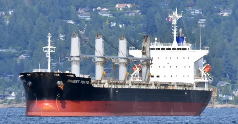 SCHELDE CONFIDENCE Bulk Carrier IMO 9589762 photo 9