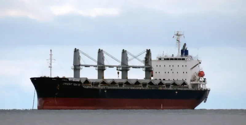 SCHELDE CONFIDENCE Bulk Carrier IMO 9589762 photo 10