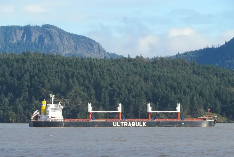 ULTRA DYNAMIC Bulk Carrier IMO 9589798