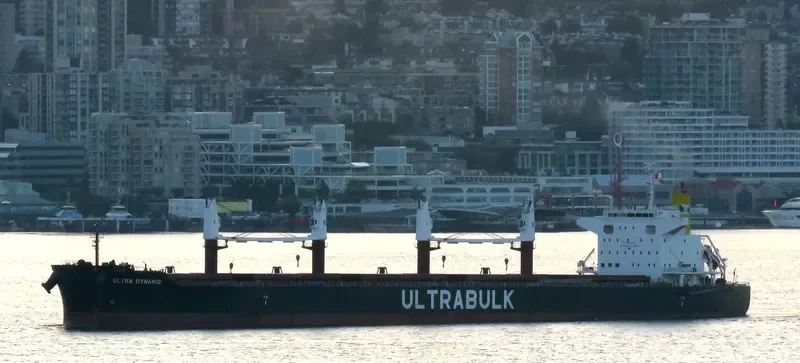 ULTRA DYNAMIC Bulk Carrier IMO 9589798 photo 4