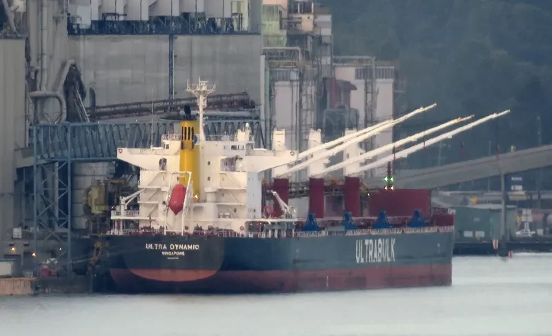 ULTRA DYNAMIC Bulk Carrier IMO 9589798 photo 5