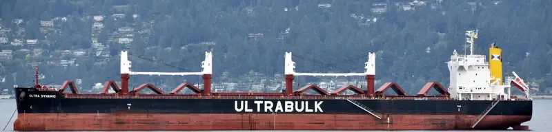 ULTRA DYNAMIC Bulk Carrier IMO 9589798 photo 7