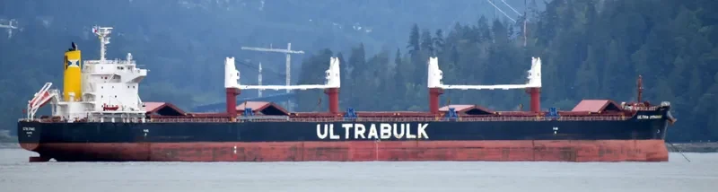 ULTRA DYNAMIC Bulk Carrier IMO 9589798 photo 8