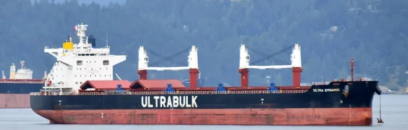 ULTRA DYNAMIC Bulk Carrier IMO 9589798 photo 9