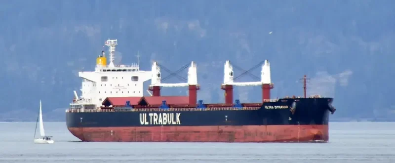 ULTRA DYNAMIC Bulk Carrier IMO 9589798 photo 10