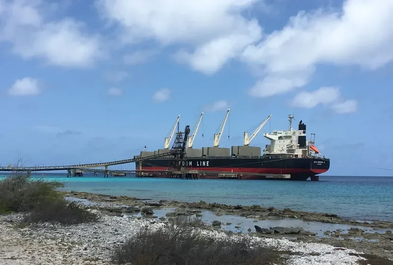 AMIS WISDOM VI Bulk Carrier IMO 9589803 photo 2