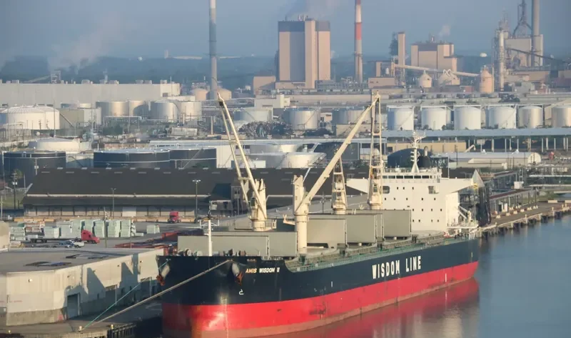 AMIS WISDOM VI Bulk Carrier IMO 9589803 photo 3