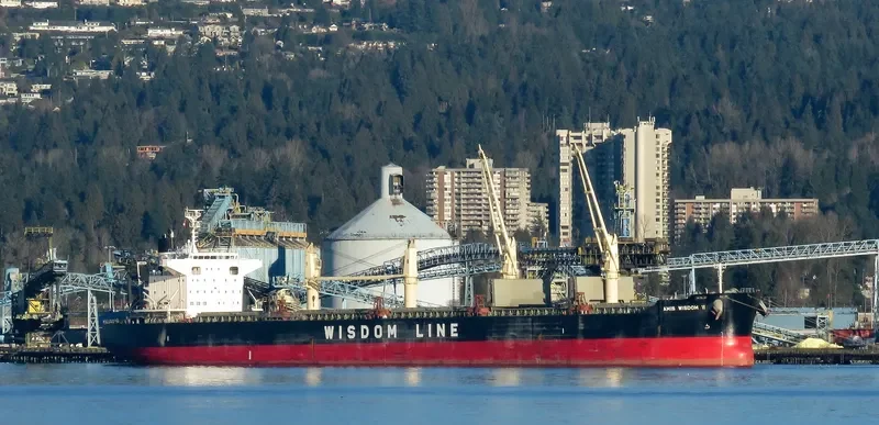 AMIS WISDOM VI Bulk Carrier IMO 9589803 photo 7