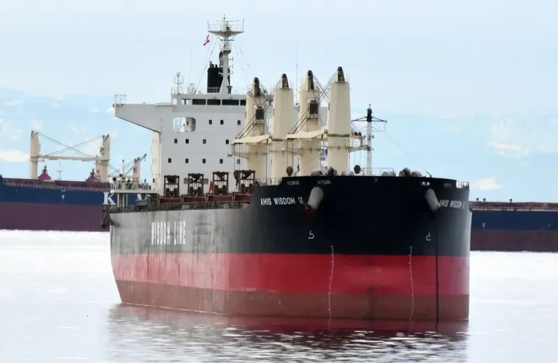 AMIS WISDOM VI Bulk Carrier IMO 9589803 photo 9