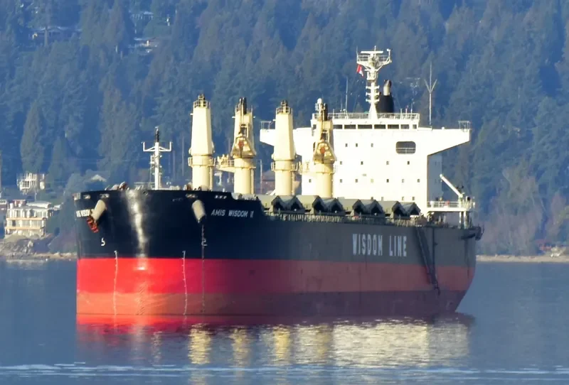 AMIS WISDOM VI Bulk Carrier IMO 9589803 photo 10