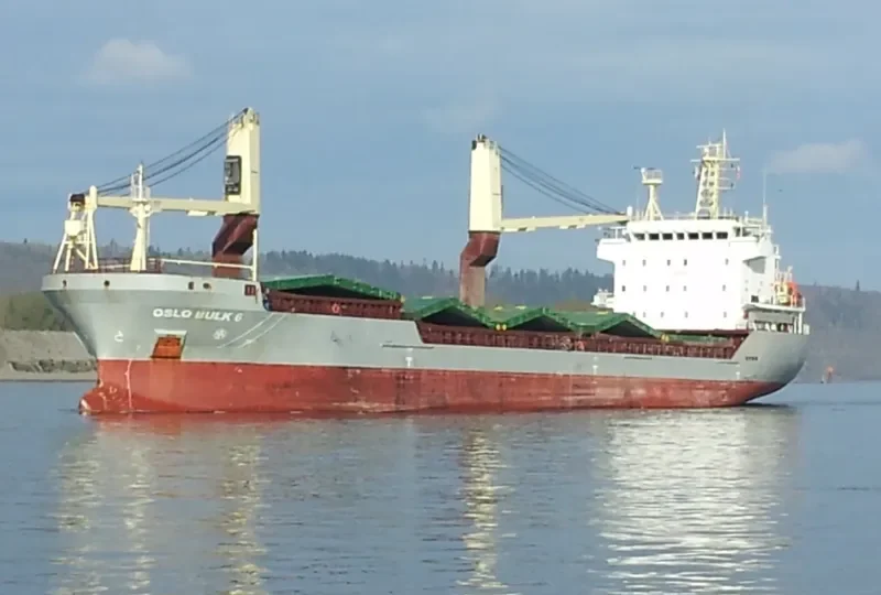 OSLO BULK 6 General Cargo IMO 9589968 photo 7