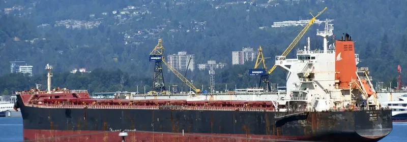 HL IBT Bulk Carrier IMO 9590034 photo 4