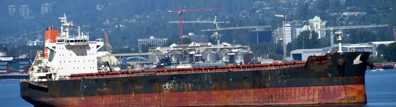 HL IBT Bulk Carrier IMO 9590034 photo 7