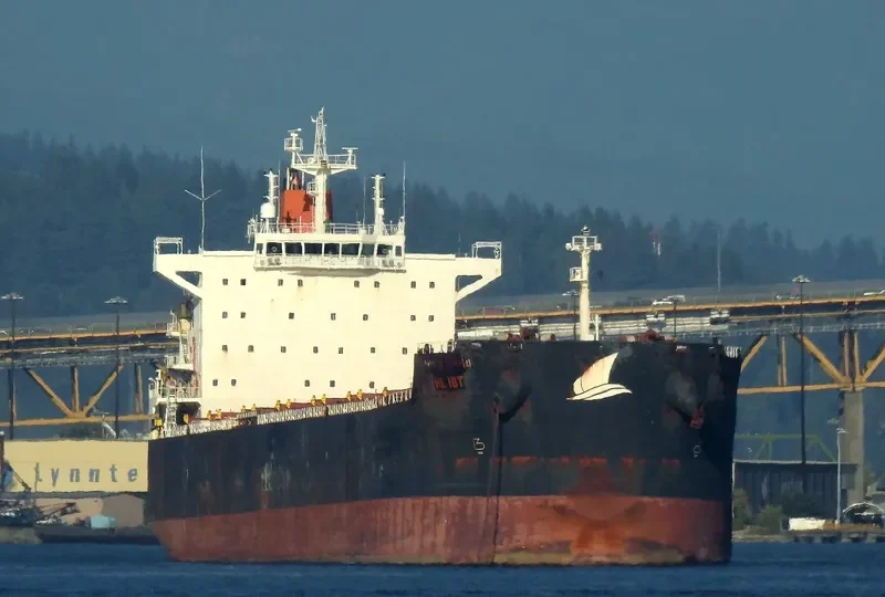 HL IBT Bulk Carrier IMO 9590034 photo 8