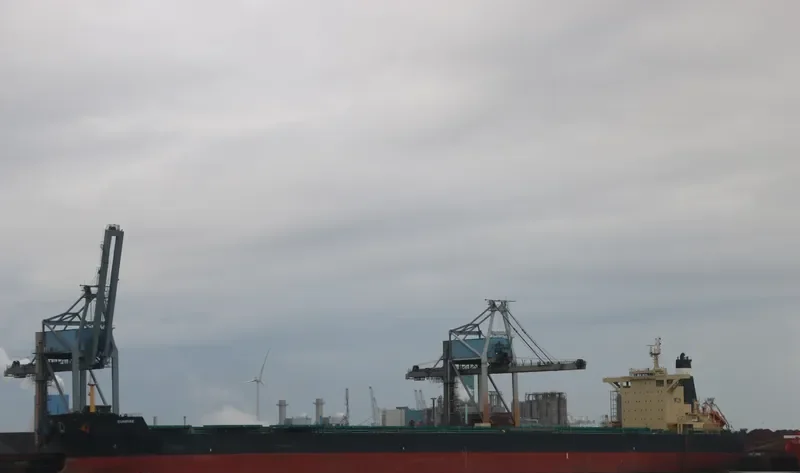 SUNRISE Bulk Carrier IMO 9590060 photo 2