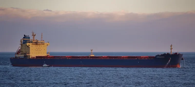 KROUSSON Bulk Carrier IMO 9590101 photo 8