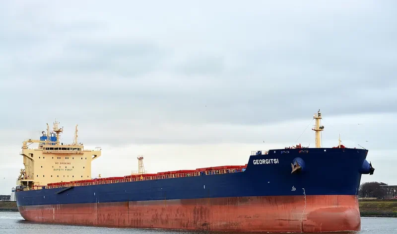 GEORGITSI Bulk Carrier IMO 9590113 photo 6