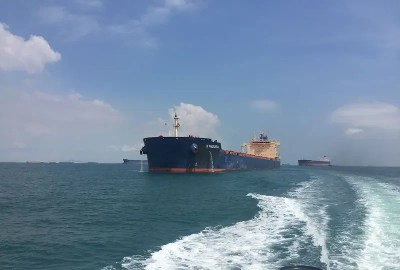 KYNOURIA Bulk Carrier IMO 9590125 photo 2