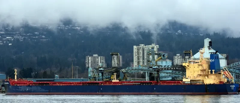 KYNOURIA Bulk Carrier IMO 9590125 photo 6