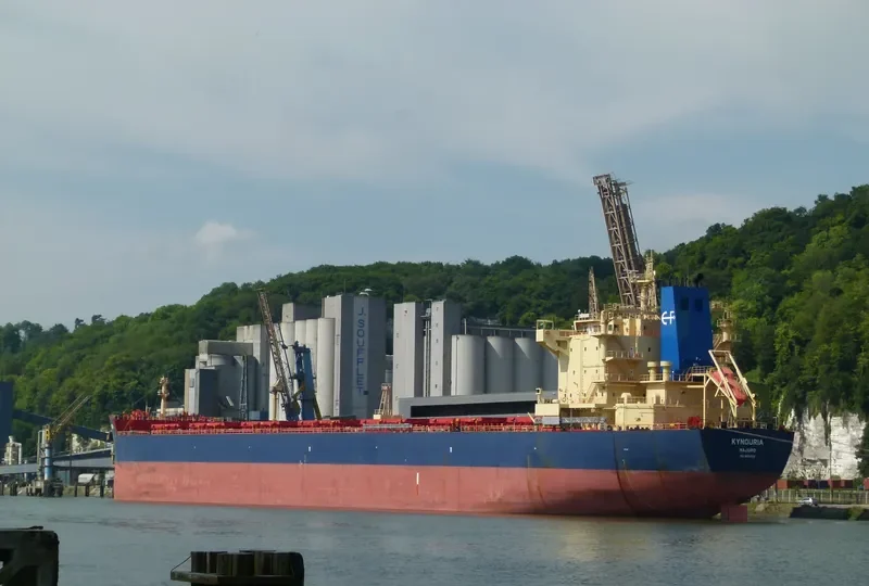KYNOURIA Bulk Carrier IMO 9590125 photo 7