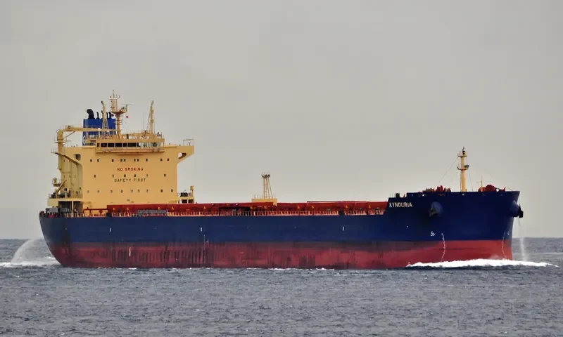 KYNOURIA Bulk Carrier IMO 9590125 photo 8