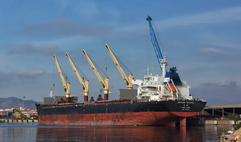 GRAND DIONYSUS Bulk Carrier IMO 9590228 photo 2