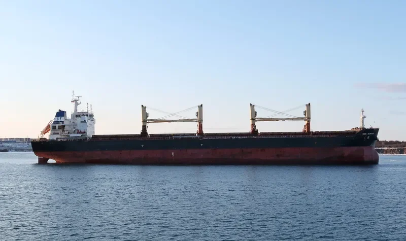 GRAND DIONYSUS Bulk Carrier IMO 9590228 photo 5