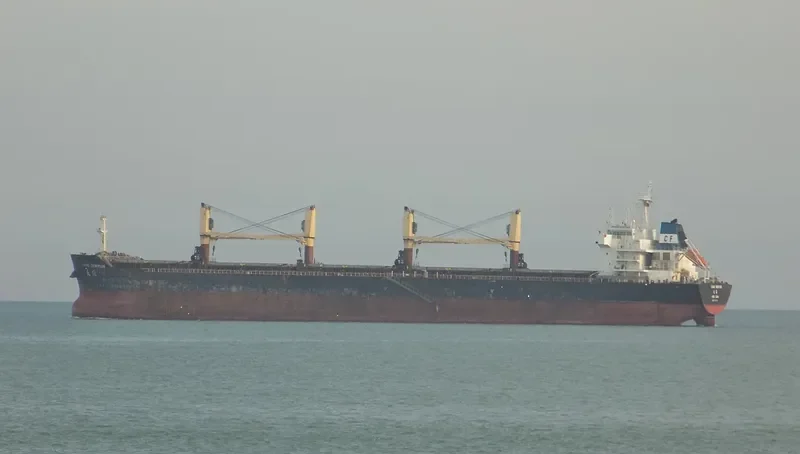 GRAND DIONYSUS Bulk Carrier IMO 9590228 photo 6