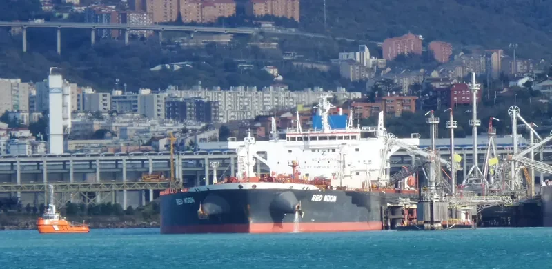 RED MOON Tanker IMO 9590307 photo 7