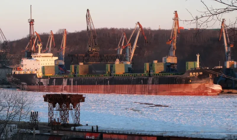 WAN DA 9 Bulk Carrier IMO 9590486 photo 2