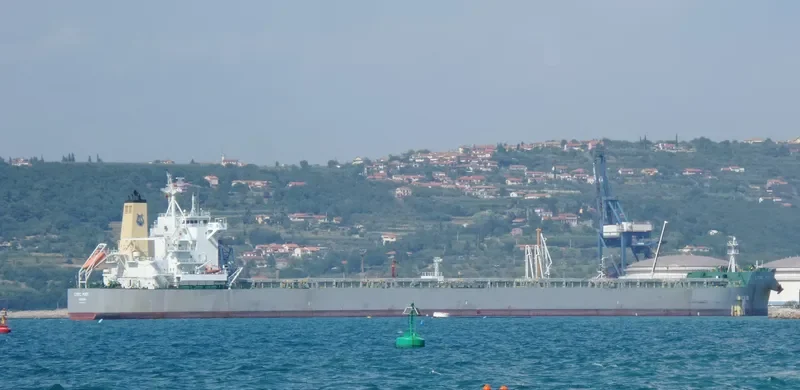 LYRIC POET Bulk Carrier IMO 9590577 photo 2