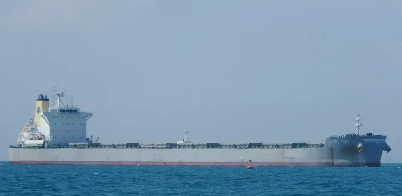 LYRIC POET Bulk Carrier IMO 9590577 photo 4