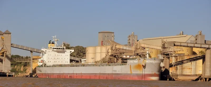 LYRIC POET Bulk Carrier IMO 9590577 photo 7