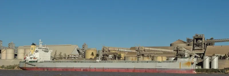 LYRIC POET Bulk Carrier IMO 9590577 photo 8
