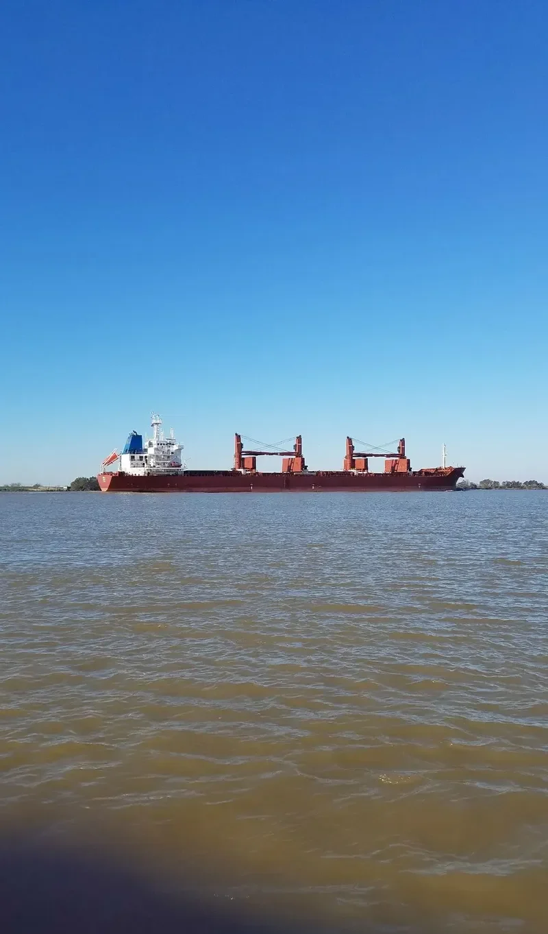 SEAS 11 Bulk Carrier IMO 9590618
