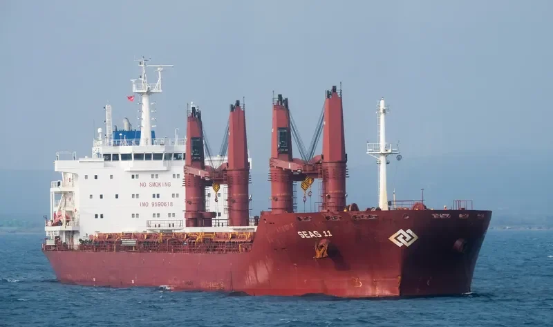 SEAS 11 Bulk Carrier IMO 9590618 photo 2
