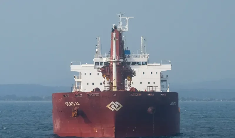 SEAS 11 Bulk Carrier IMO 9590618 photo 3
