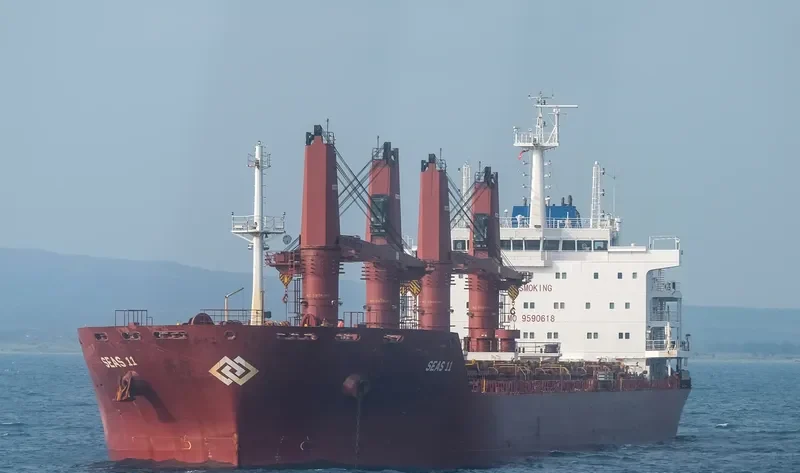 SEAS 11 Bulk Carrier IMO 9590618 photo 4