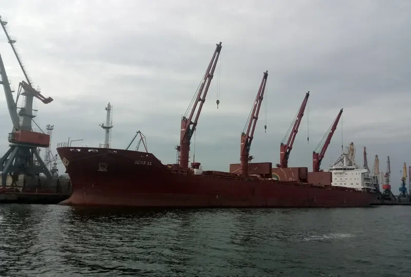 SEAS 11 Bulk Carrier IMO 9590618 photo 5