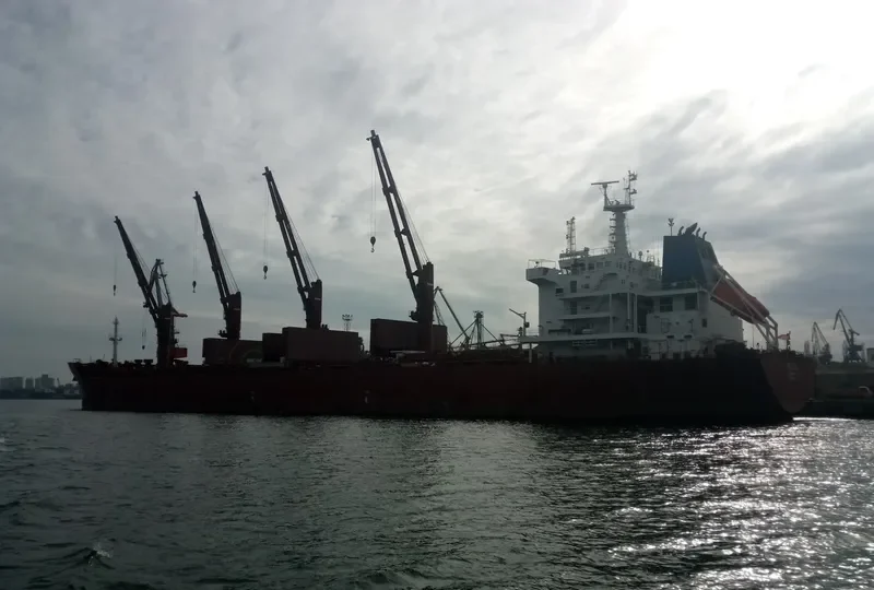 SEAS 11 Bulk Carrier IMO 9590618 photo 6