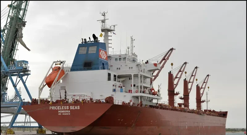 SEAS 11 Bulk Carrier IMO 9590618 photo 7