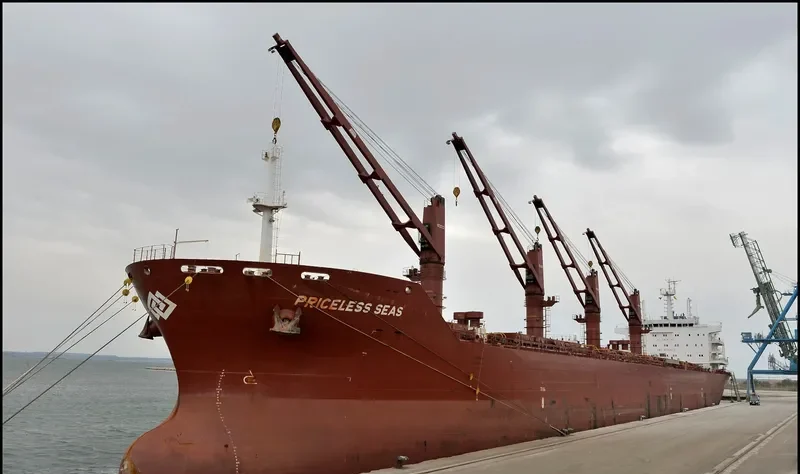 SEAS 11 Bulk Carrier IMO 9590618 photo 8