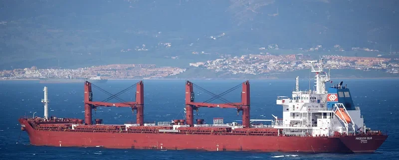 SEAS 11 Bulk Carrier IMO 9590618 photo 9