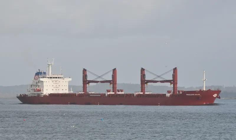SEAS 11 Bulk Carrier IMO 9590618 photo 10