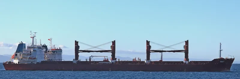BALTIC PEARL Bulk Carrier IMO 9590620