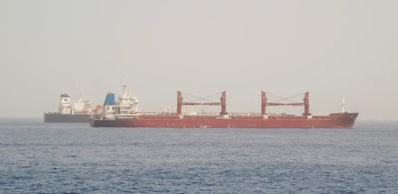 BALTIC PEARL Bulk Carrier IMO 9590620 photo 2