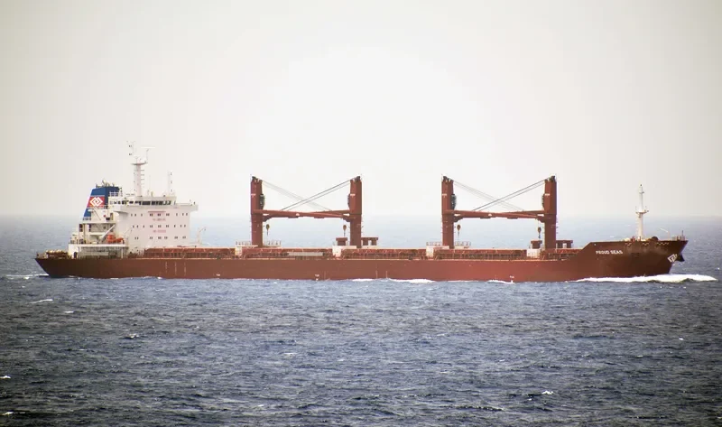 BALTIC PEARL Bulk Carrier IMO 9590620 photo 4