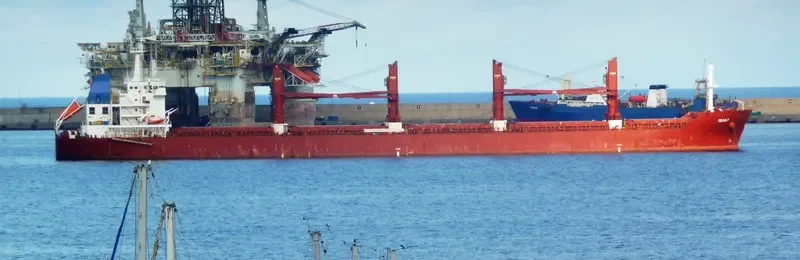 BALTIC PEARL Bulk Carrier IMO 9590620 photo 5