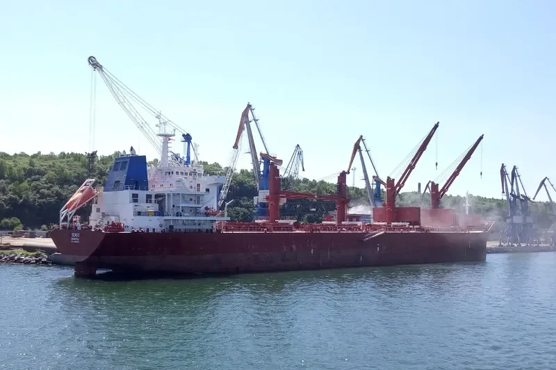 BALTIC PEARL Bulk Carrier IMO 9590620 photo 6